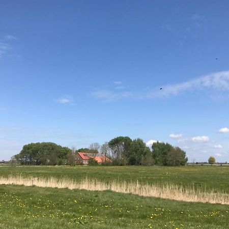 Ferienhof Spiegelhaus Krummhörn Eksteriør bilde
