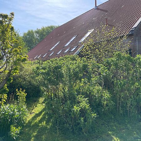 Ferienhof Spiegelhaus Krummhörn Eksteriør bilde