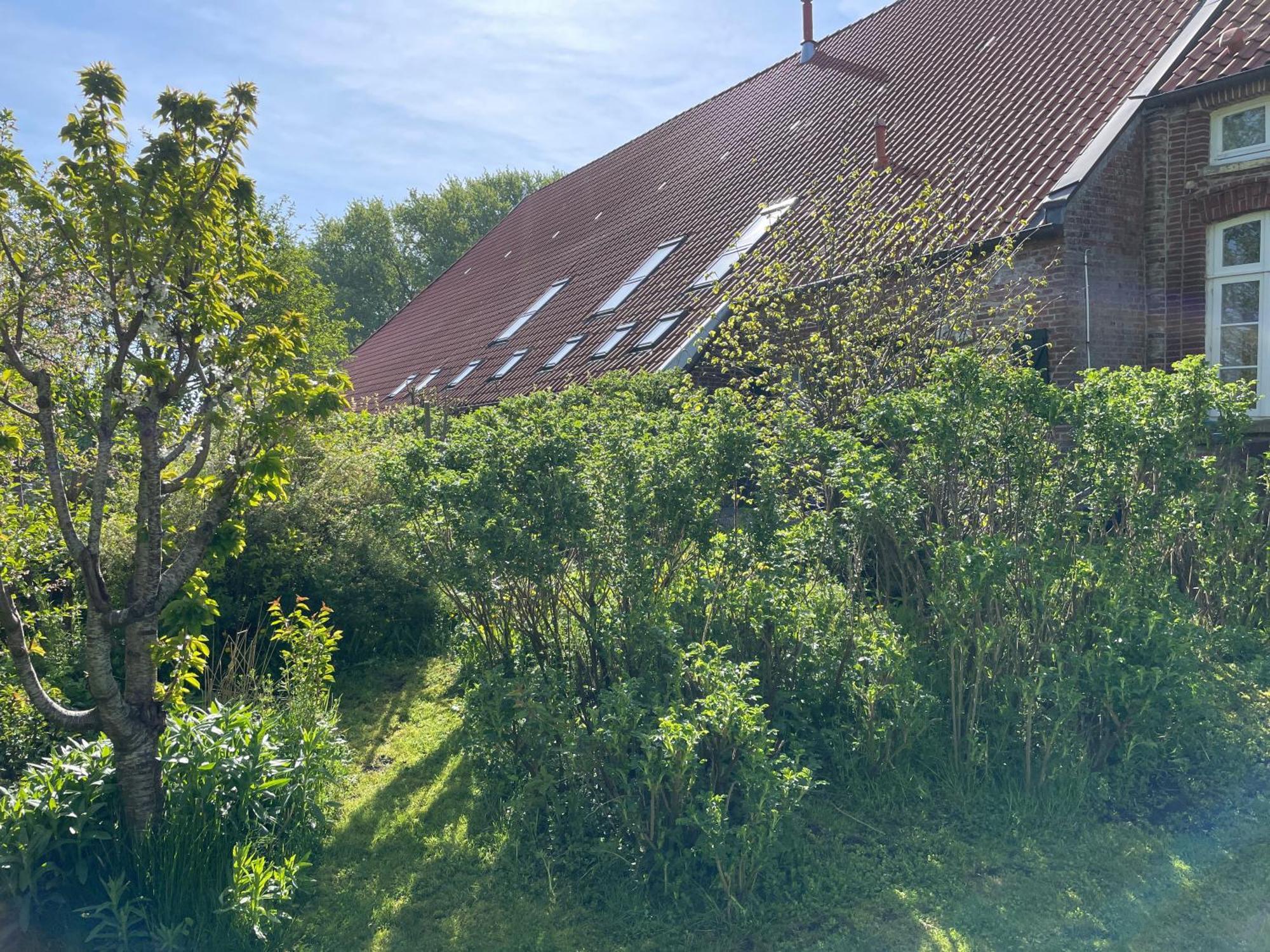 Ferienhof Spiegelhaus Krummhörn Eksteriør bilde